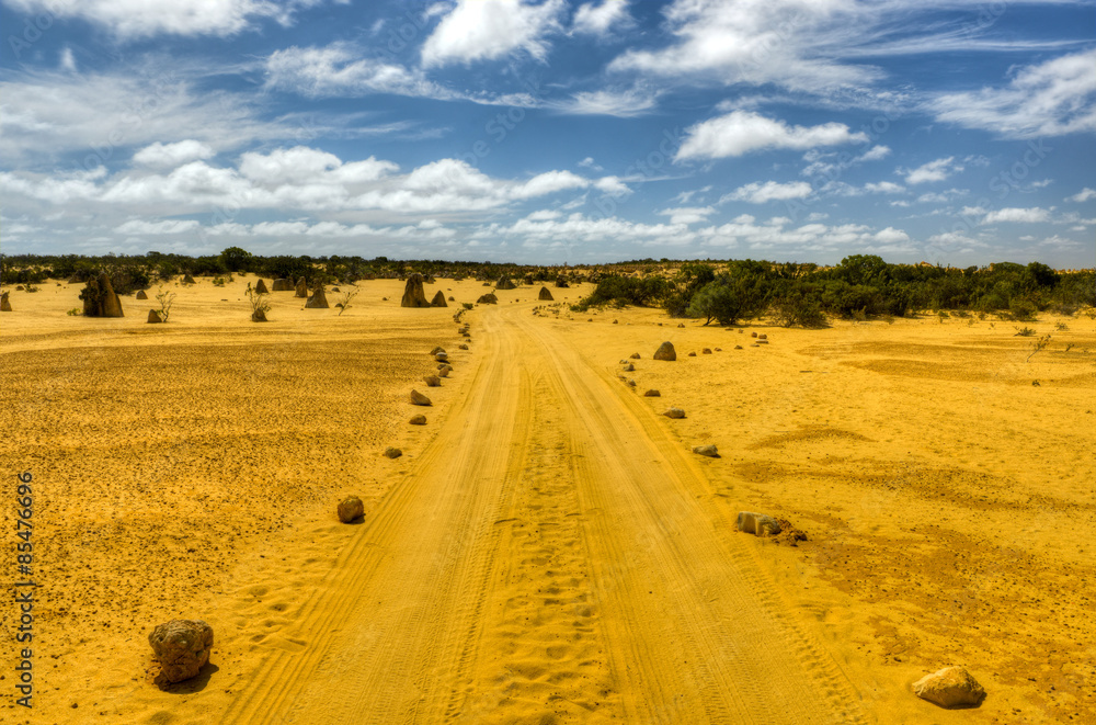 Fototapeta premium Pinnacles Desert, Australia