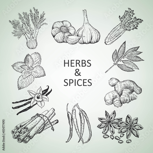 herbs and spices