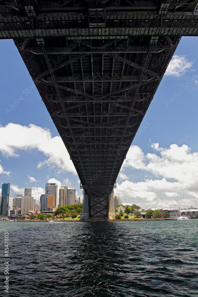 Fototapeta premium Sydney Harbour Bridge