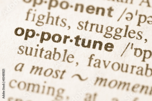 Dictionary definition of word opportune