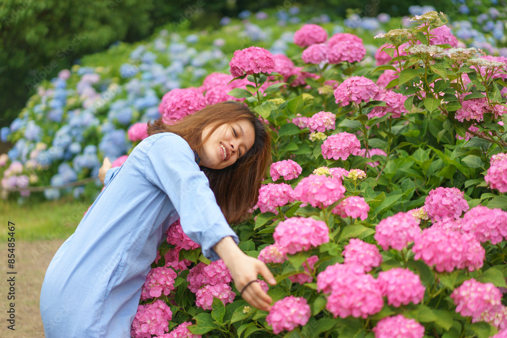 Fototapeta premium あじさいと女性