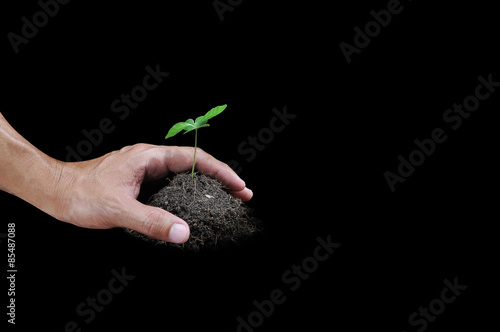 Hand and little plant , concept photo