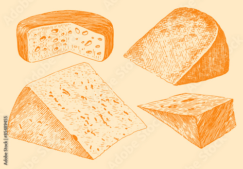 Cheese set engraving hand drawn vintage  vector illustration