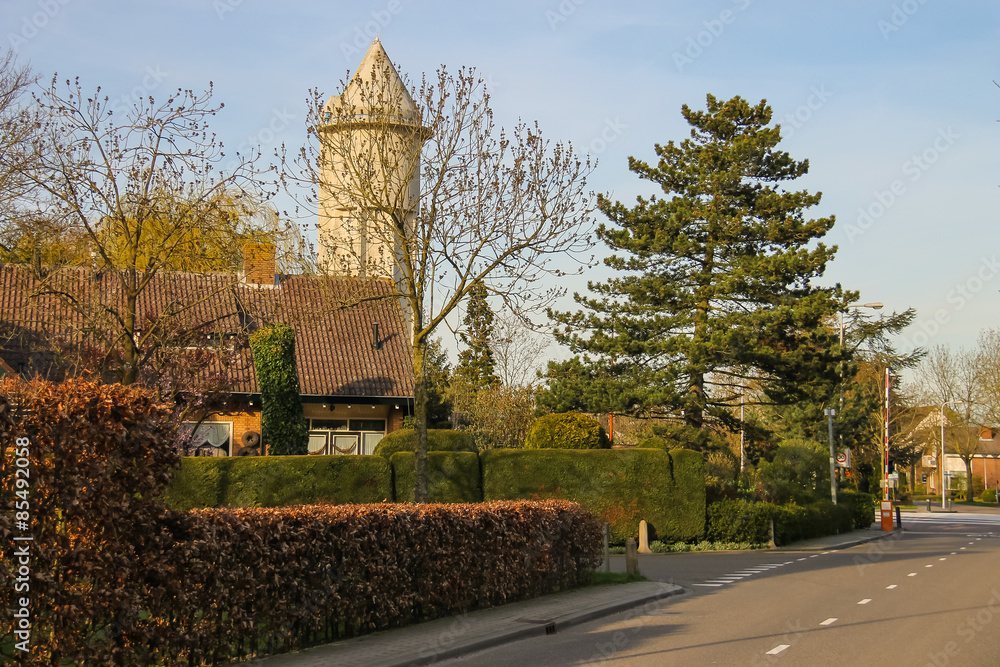 Street in a residential area of Meerkerk, Netherlands