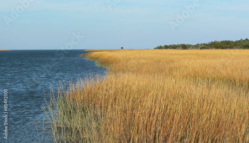 Ocean with yellow marsh and sea grass