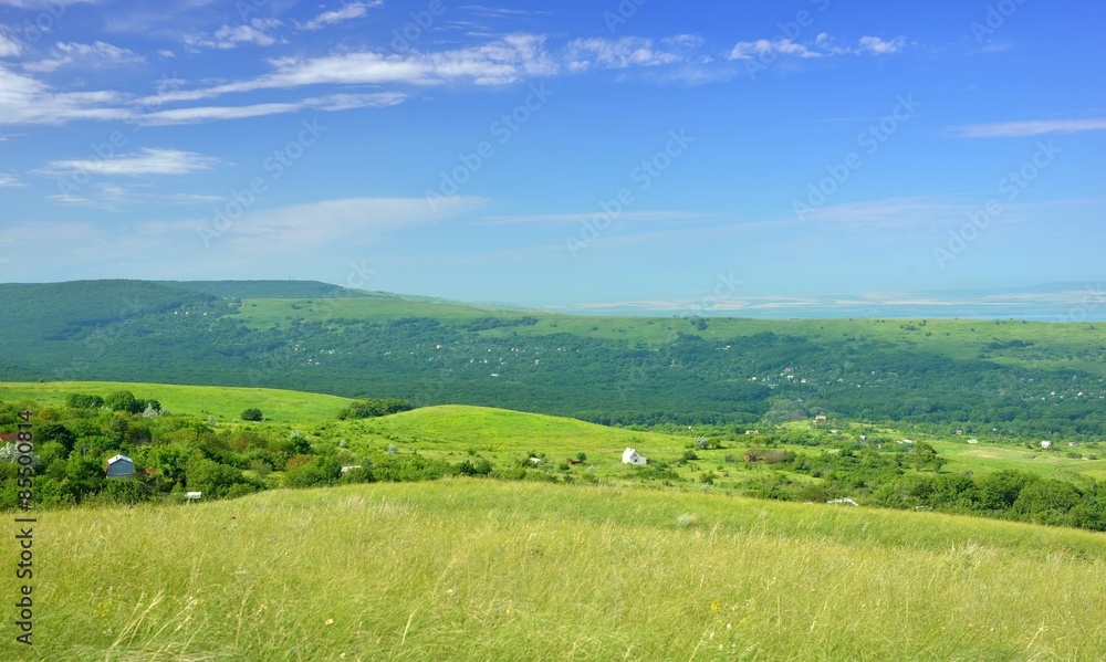 Summer landscape Summer landscape