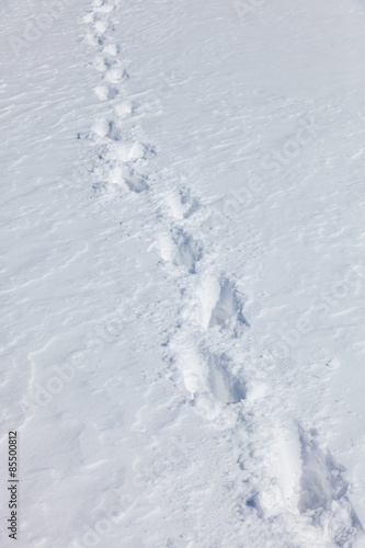 traces of human feet in deep snow © Denis Ponkratov