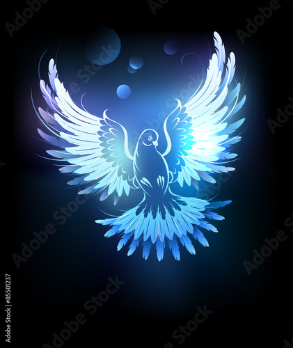 Fotografie glowing blue dove