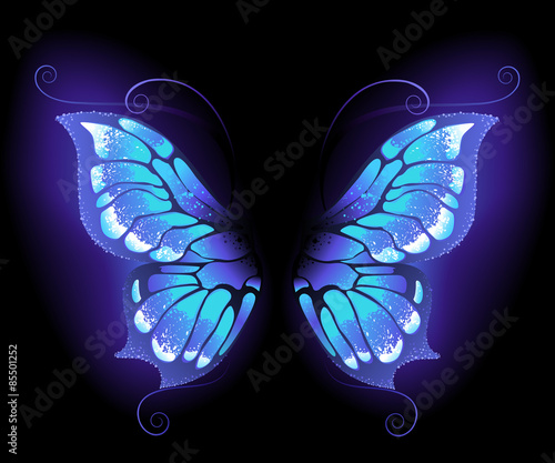 glowing butterfly wings
