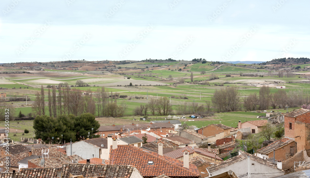 A view over the hills of Ribera del Duero in Castilla y Leon, Spain
