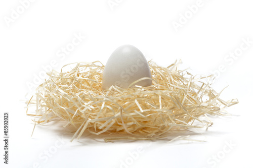 White egg in nest on white