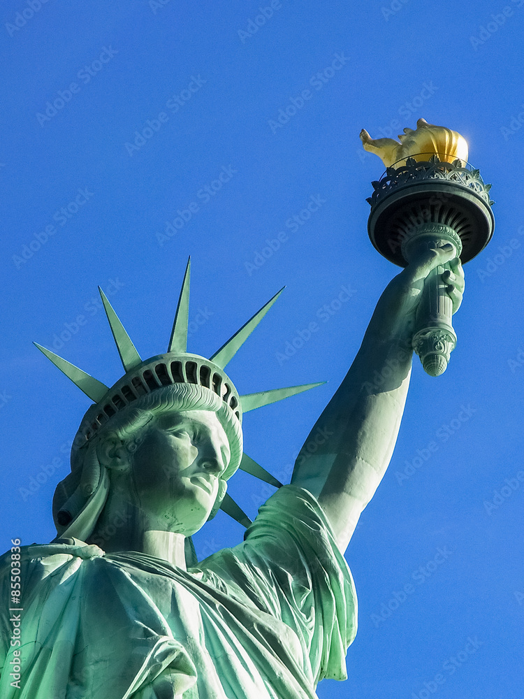 Fototapeta premium The Statue of Liberty, New York (U.S.A.)