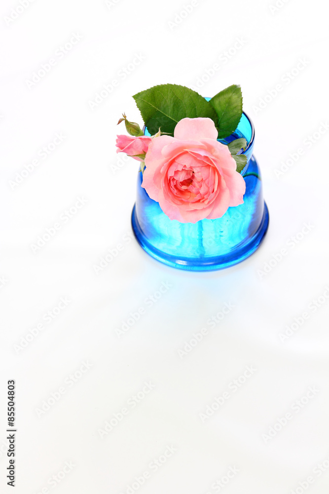 ピンクいの薔薇を涼しそうなブルーの花瓶に挿して ピンクいの薔薇を涼しそうなブルーの花瓶に挿して