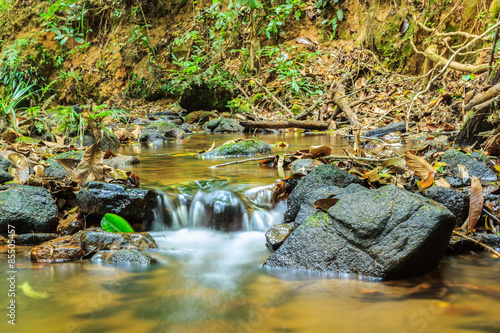 Fototapeta Naklejka Na Ścianę i Meble -  Water Over Rocks, Great Smoky Mountains National Park.