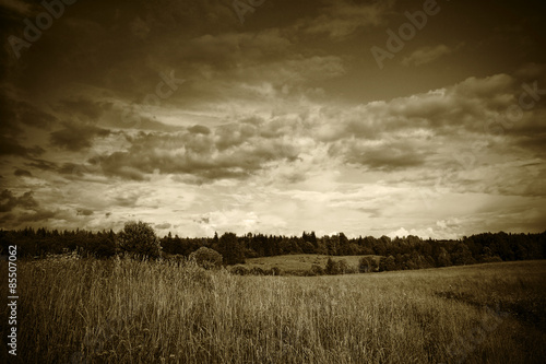 sepia toned landscape with trees grass flowers sky