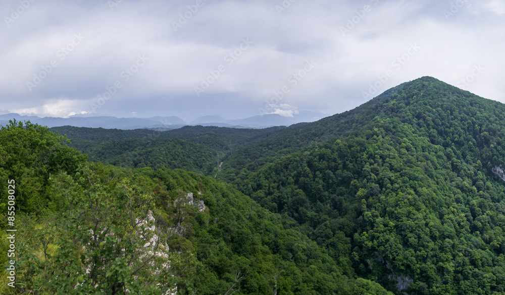 Beatiful panorama of the green mountains