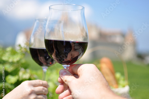 Two hands holding wineglasses against Chateau d'Aigle, Switzerla photo