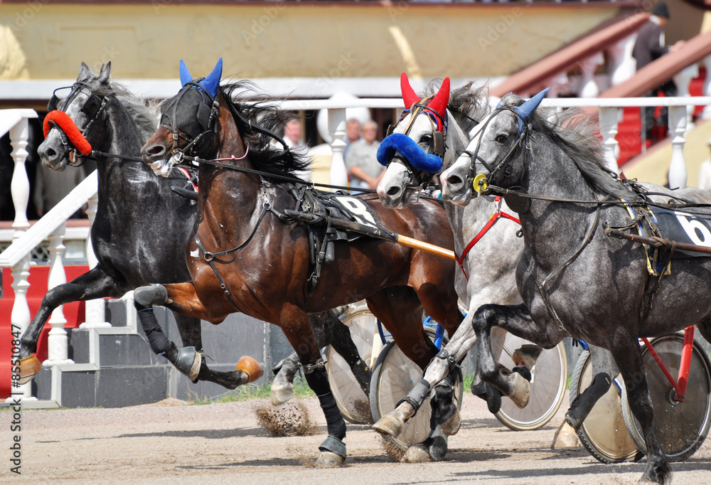Four orlov trotter at the start