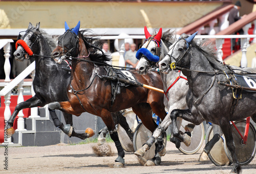 Four orlov trotter at the start © geptays