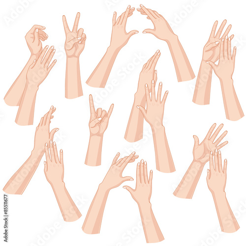 Woman Hands Set