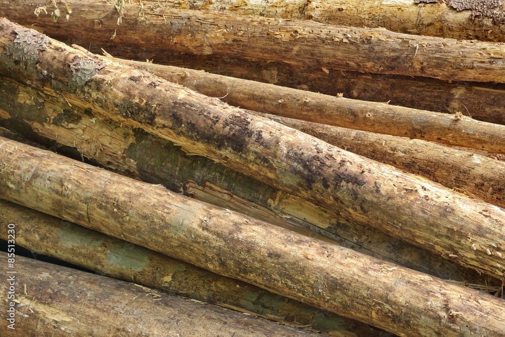 Big Pine Wood logs In Woodpile Background Texture Big Pine Wood logs In Woodpile Background Texture