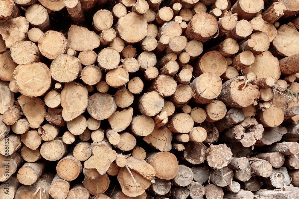 Many Big Pine Wood logs In Large Woodpile Background Texture Many Big Pine Wood logs In Large Woodpile Background Texture