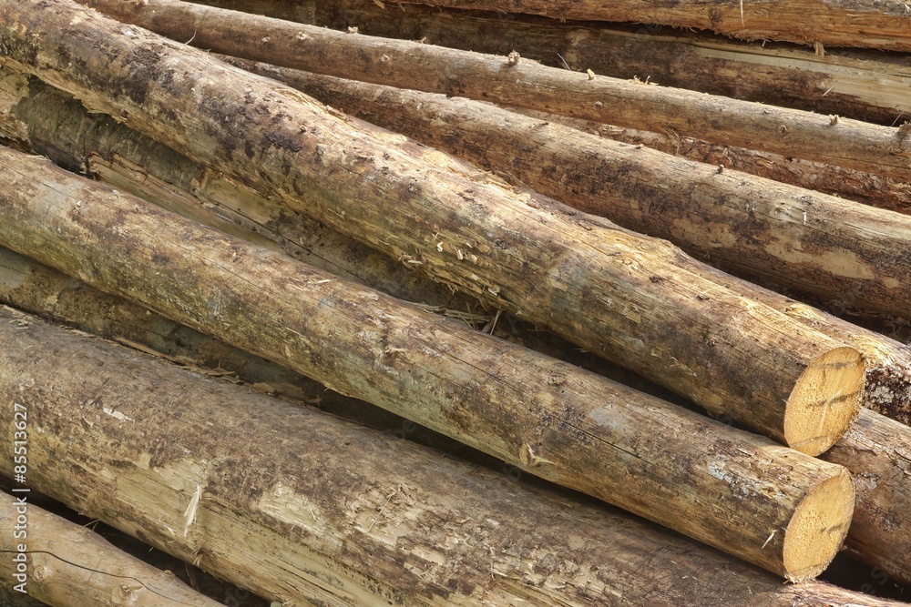 Many Big Pine Wood logs In Large Woodpile Background Texture Many Big Pine Wood logs In Large Woodpile Background Texture