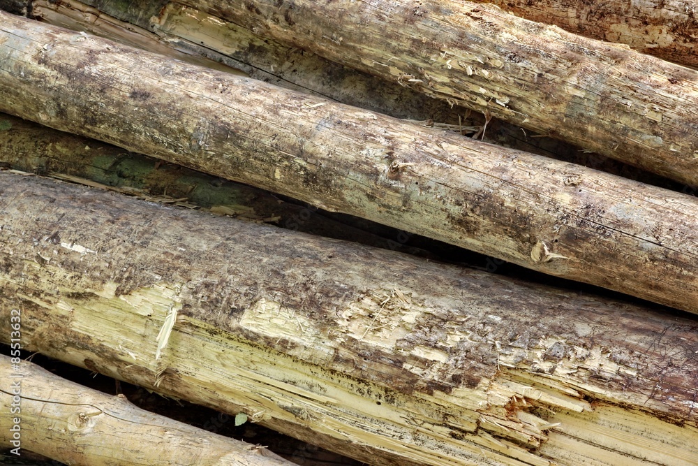 Many Big Pine Wood logs In Large Woodpile Background Texture Many Big Pine Wood logs In Large Woodpile Background Texture