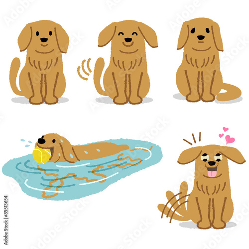 ゴールデン レトリバー 犬 表情 Set of adorable Golden Retriever expression