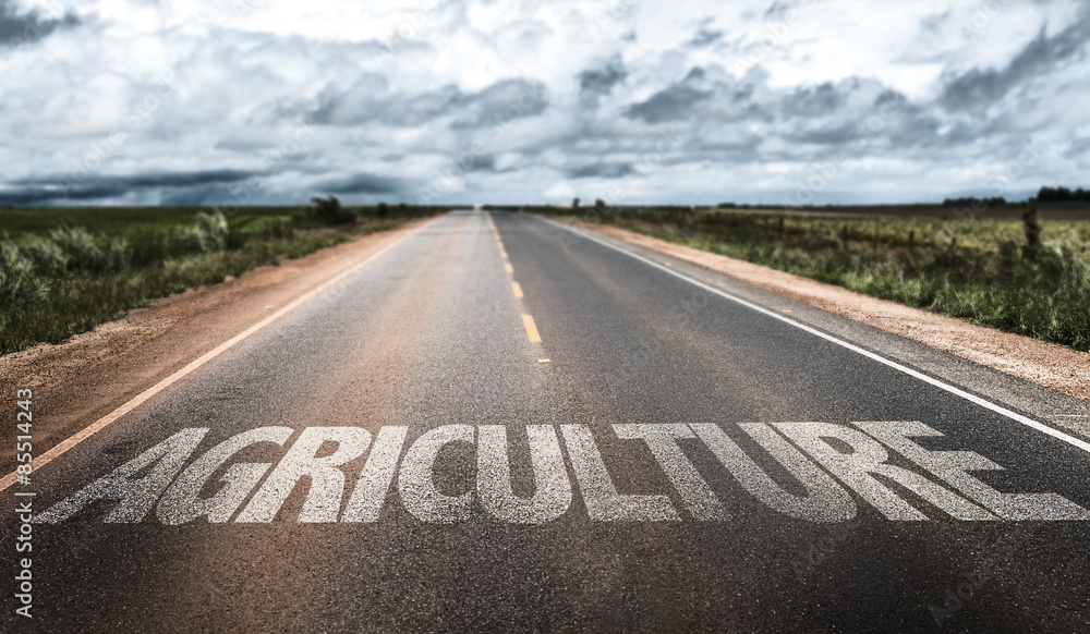 Agriculture written on rural road