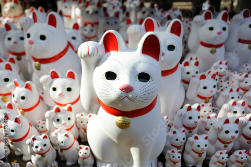 Photography Maneki-neko at Goutokuji Shrine, Tokyo, Japan