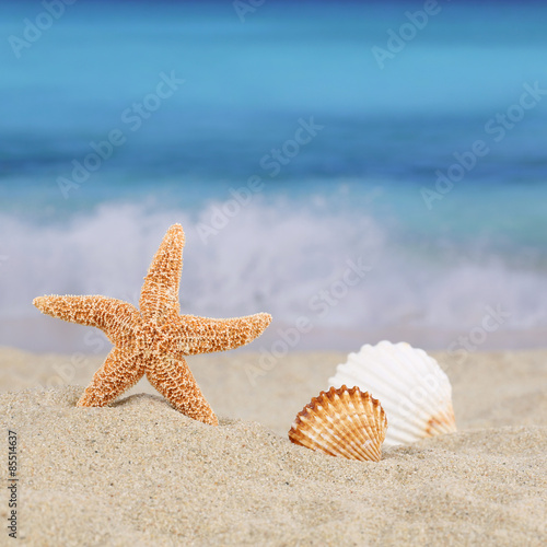 Strandszene Hintergrund im Sommer  Urlaub mit Meer und Textfreir