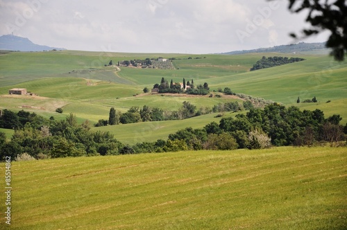 Montalcino in der Toskana