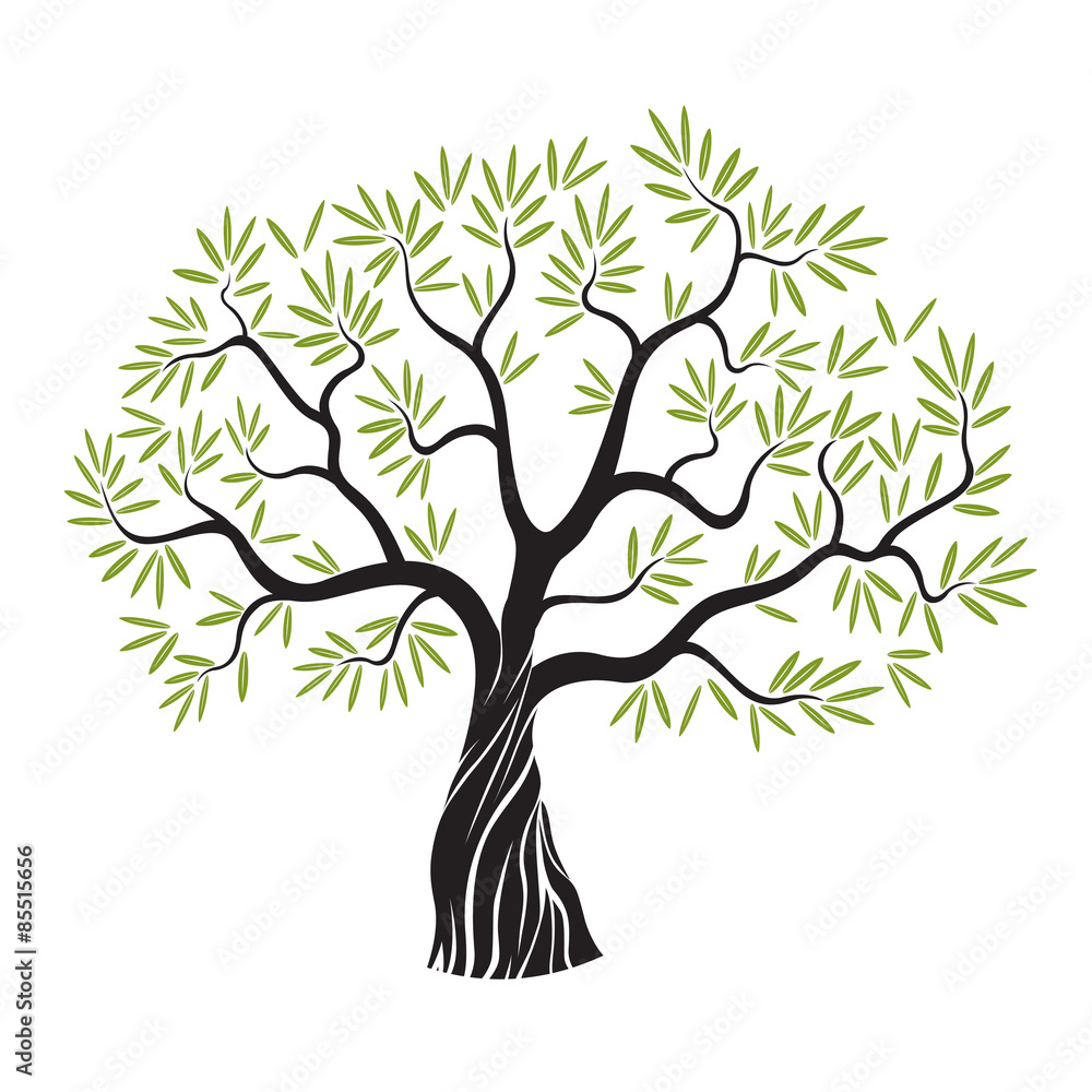 Vector olive tree.