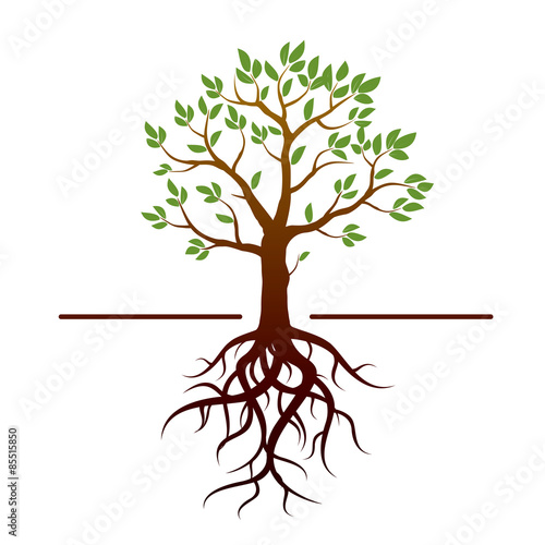 Color tree, green leafs and roots. Vector Illustration.