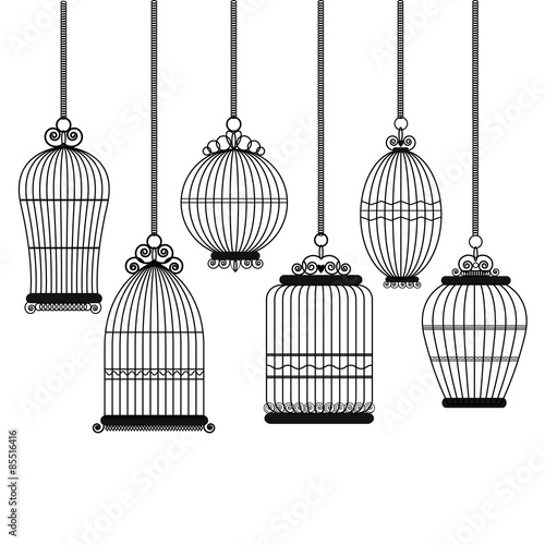 Bird cage decorative with variation style
