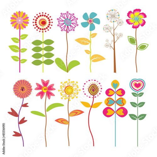 Bright color flower with leaf and variation
