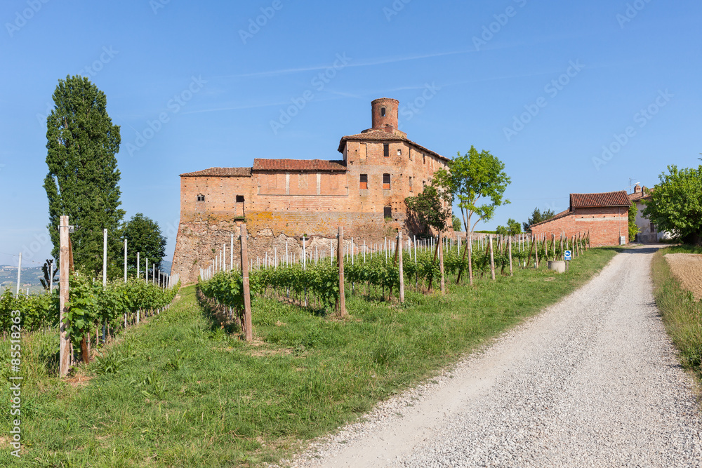 Vineyards and old castle in Italy.