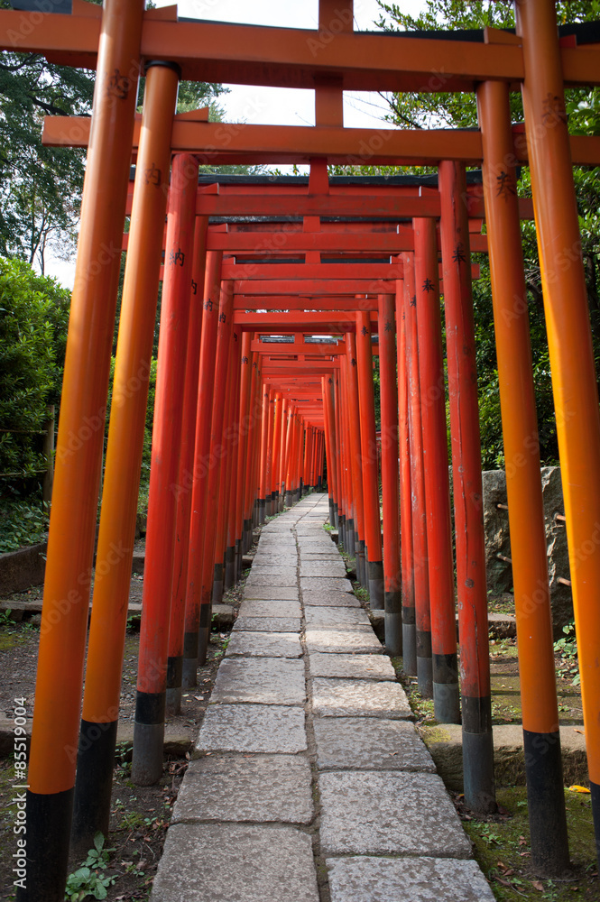 Torii Gates At Nezu Shrine, Tokyo, Japan