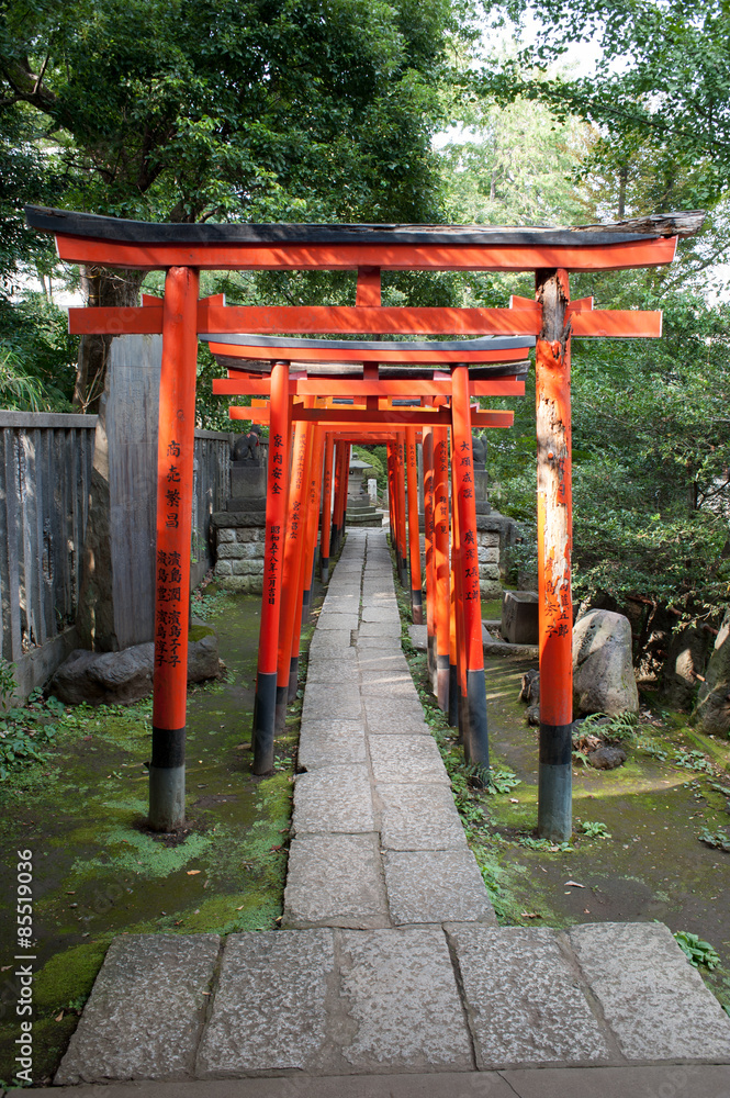 Torii Gates At Nezu Shrine, Tokyo, Japan Torii Gates At Nezu Shrine, Tokyo, Japan