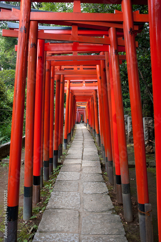 Torii Gates At Nezu Shrine  Tokyo  Japan