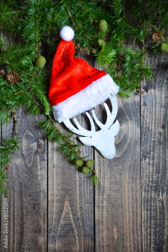 Weihnachtskarte - Hirschkop...