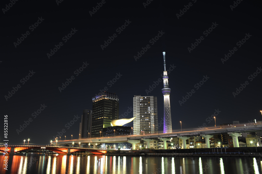 Sumida river and Skytree at night, Tokyo, Japan