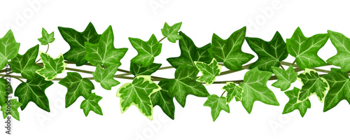 Horizontal seamless garland with ivy leaves. Vector illustration