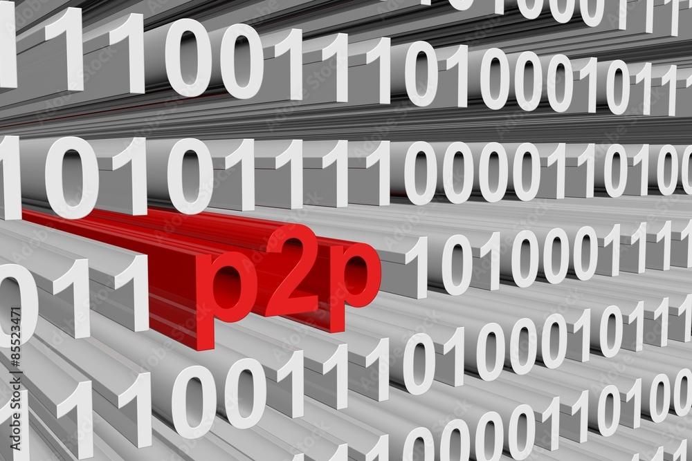 the binary code of p2p networks