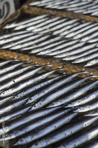 Fish drying under the sun in a shop in Ito, Shizuoka Prefecture, Japan