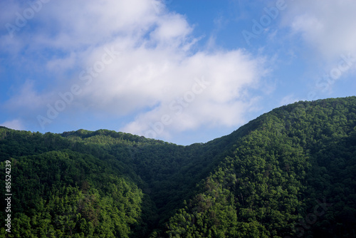 Mountain covered with trees in the morning  Fukushima Prefecture  Japan