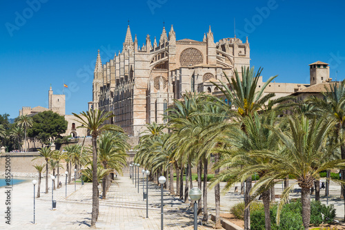palmy-przed-katedra-la-seu