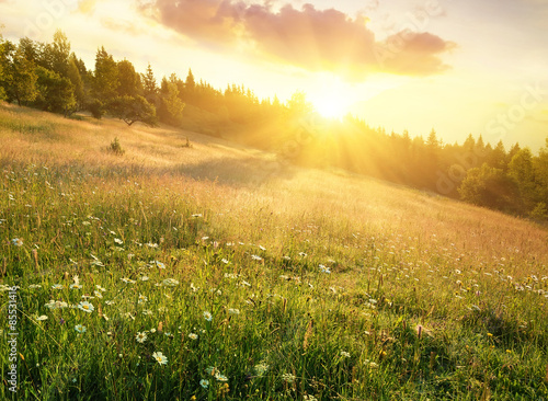 Field in mountains during sunrise. Natural landscape