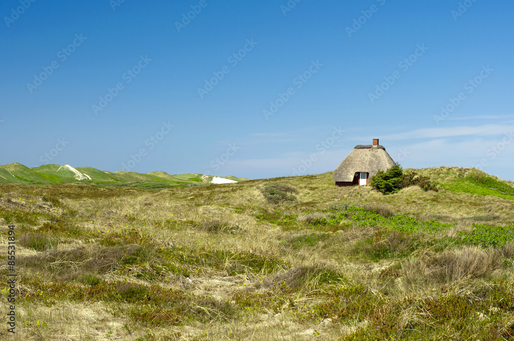 beautiful holiday home with thatched roof in the dunes at the danish North Sea Coast, Denmark, Jutland, Europe